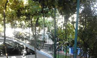 Апартаменты Apartments Jovana Петровац-2