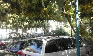 Апартаменты Apartments Jovana Петровац-3