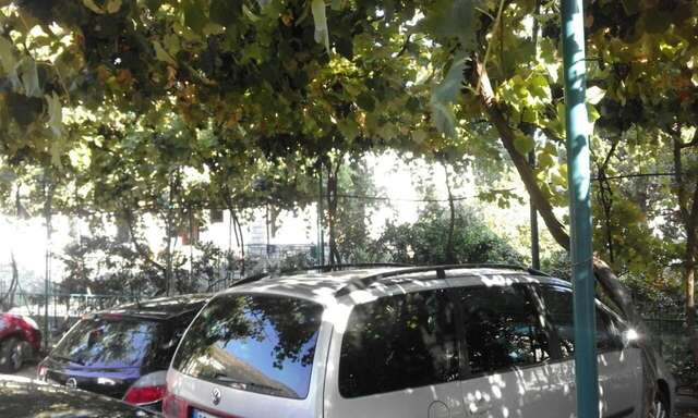 Апартаменты Apartments Jovana Петровац-6