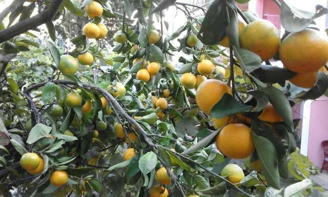 Апартаменты Apartments Jovana Петровац-8